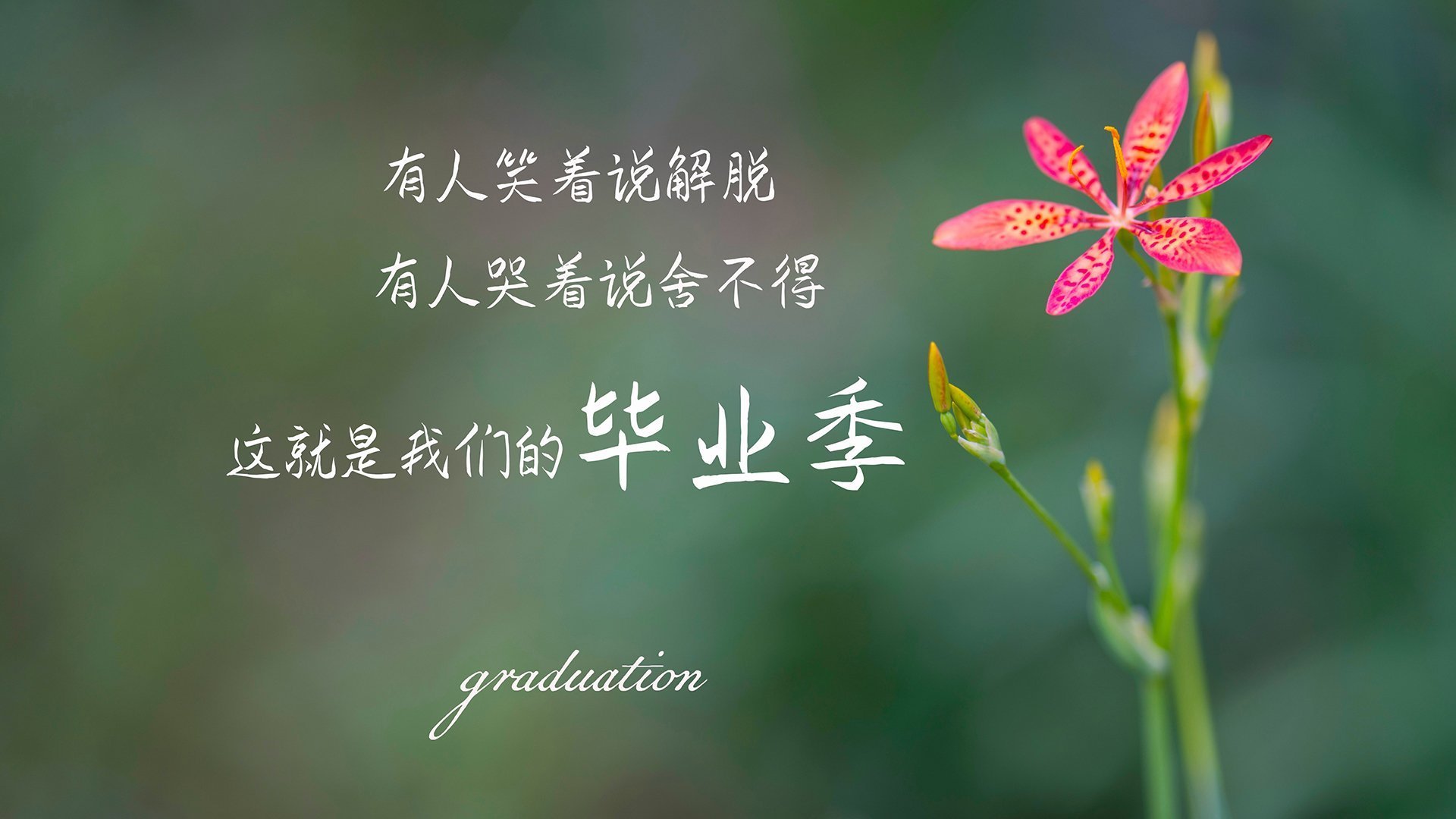 大型极速飞盘野外挑战赛，团队协作的极致考验，极限飞盘比赛时间需要多久