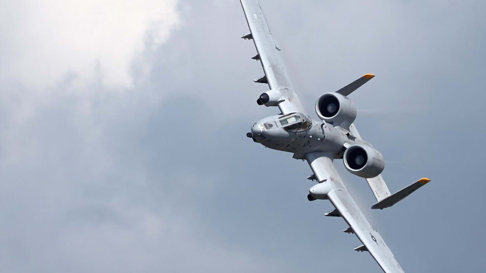 夺冠的“秘密武器”:不可或缺的核心球员