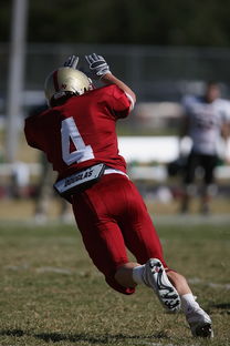 Jiuyou-足球青训进入社区模式拓展非专业球员参与渠道，足球俱乐部青训什么条件